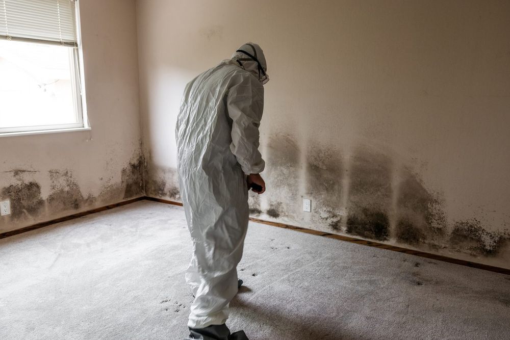 Mold Remediation crew responding in Napoleon, OH — Millers Restoration
