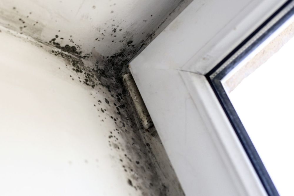 Mold Remediation crew responding in Ottawa, OH — Millers Restoration