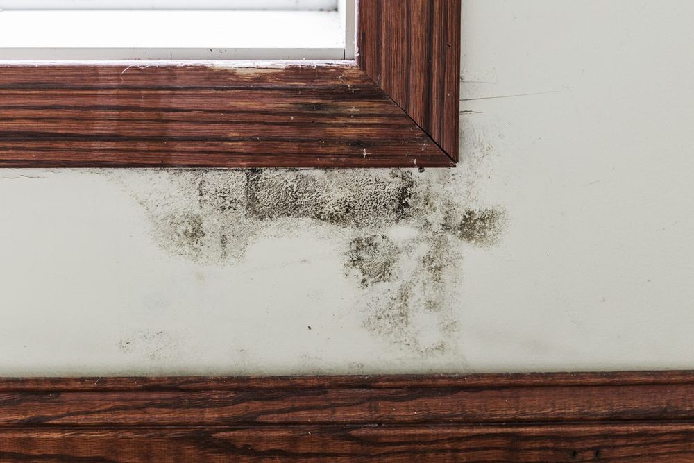 Mold Remediation crew responding in Whitehouse, OH — Millers Restoration